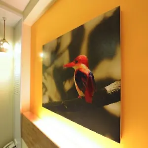 Kk Hotel
